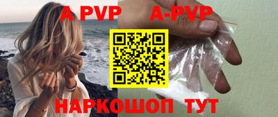 стаф Гудермес