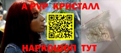 стаф Гудермес