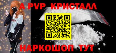 стаф Гудермес
