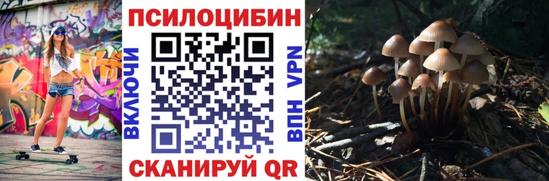 наркота  Мегион  Галлюциногенные грибы Psilocybine cubensis 