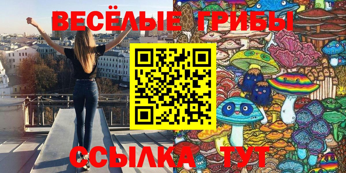 Псилоцибиновые грибы прущие грибы  Вход с VPN  Мегион 